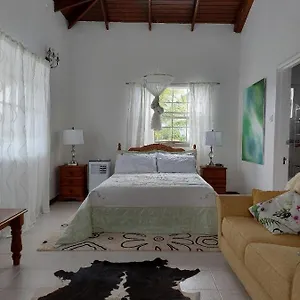 https://selens-apartment-in-ti-rocher-micoud-saint-lucia.comcaribbean.com